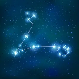 별자리로 알아보는 2026년 운세입니다.